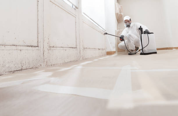 24/7 Emergency Crawl Space Mold Remediation experts in Conshohocken, PA
