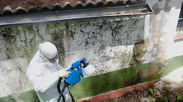 Top rated local Crawl Space Mold Remediation specialists in Conshohocken, PA